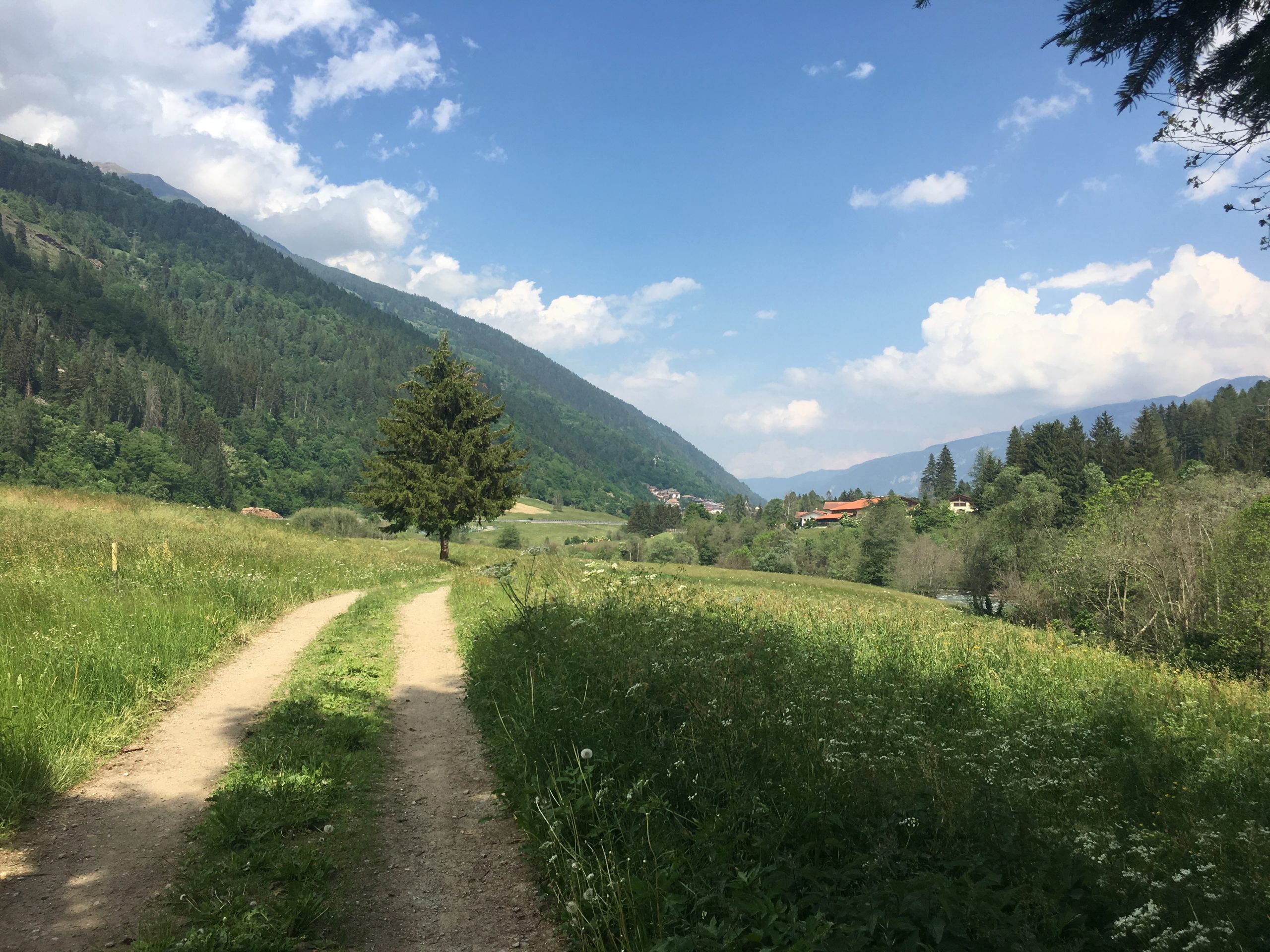 Tappa 10 Ossana – Dimaro